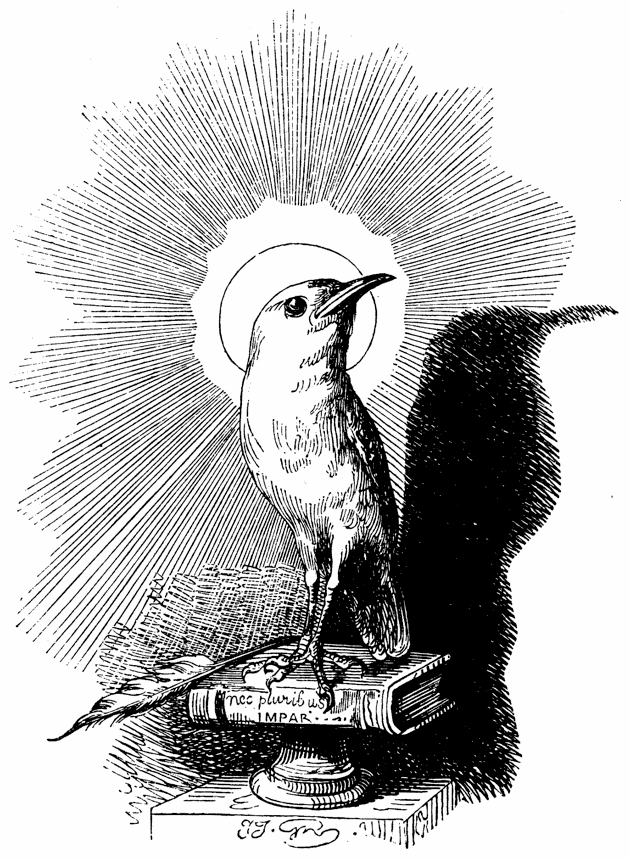 Bird illustration.gif
