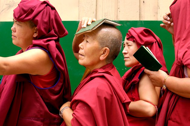 Tibetan Buddhist nuns.jpg