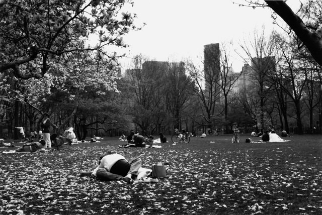 Central Park Lovers.jpg