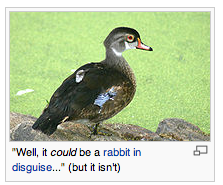 Wikipedia Duck.png