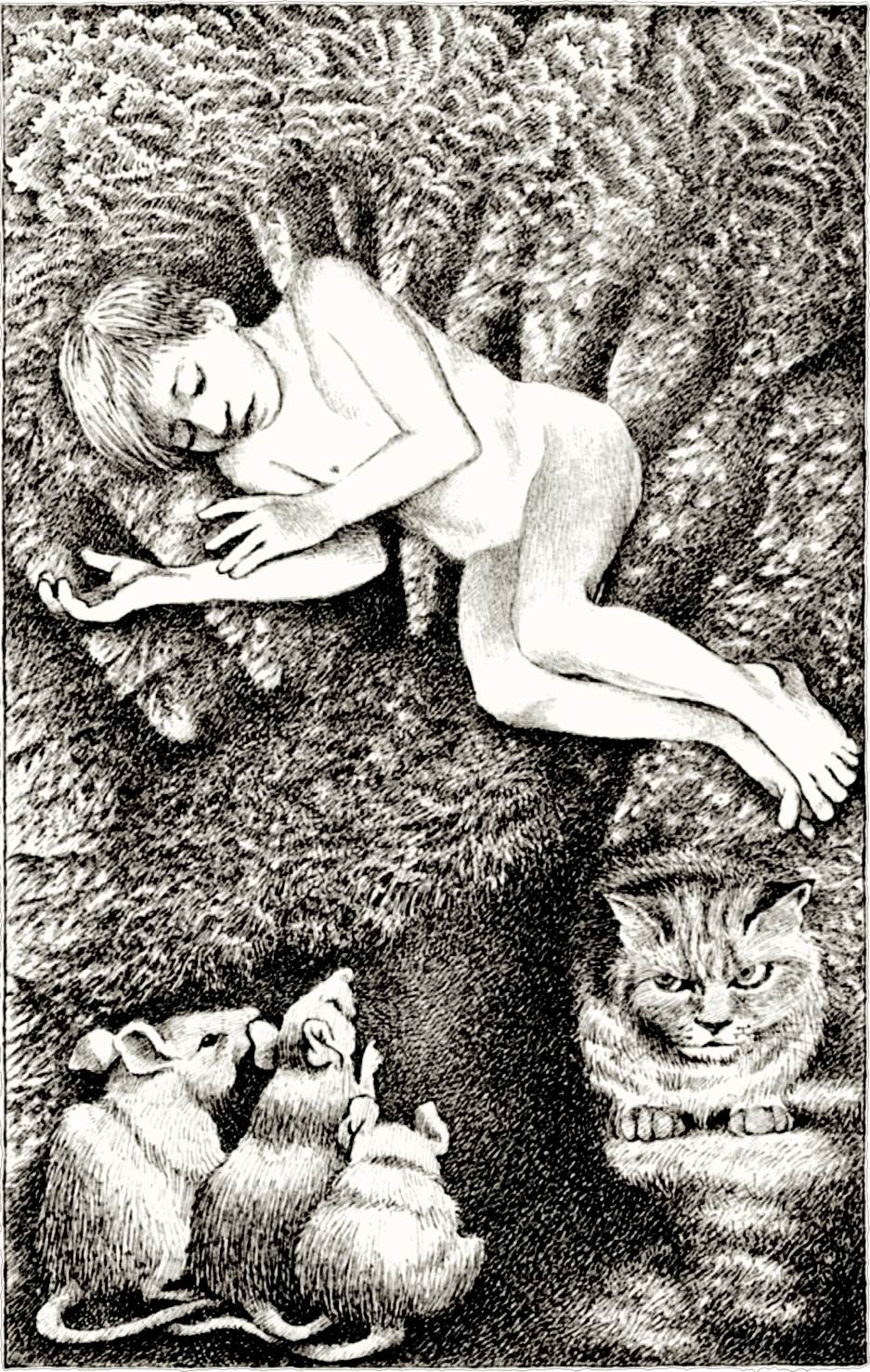 Maurice Sendak: Boy, Cat and Rats.jpg