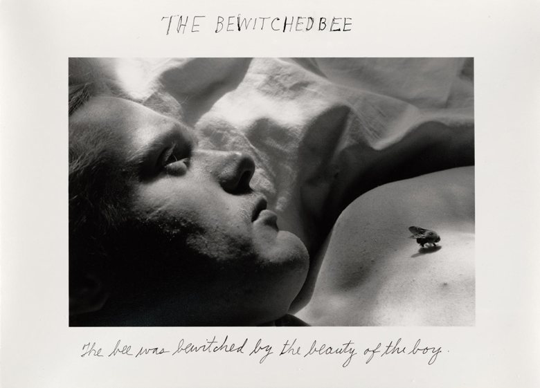 Duane Michals: The Bewitched Bee.jpg