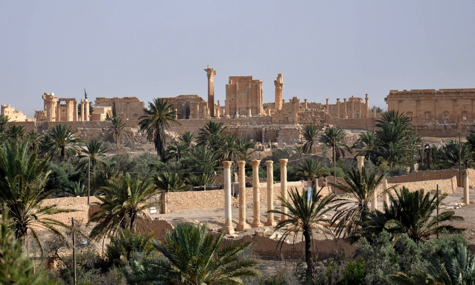 Palmyra overview.jpg