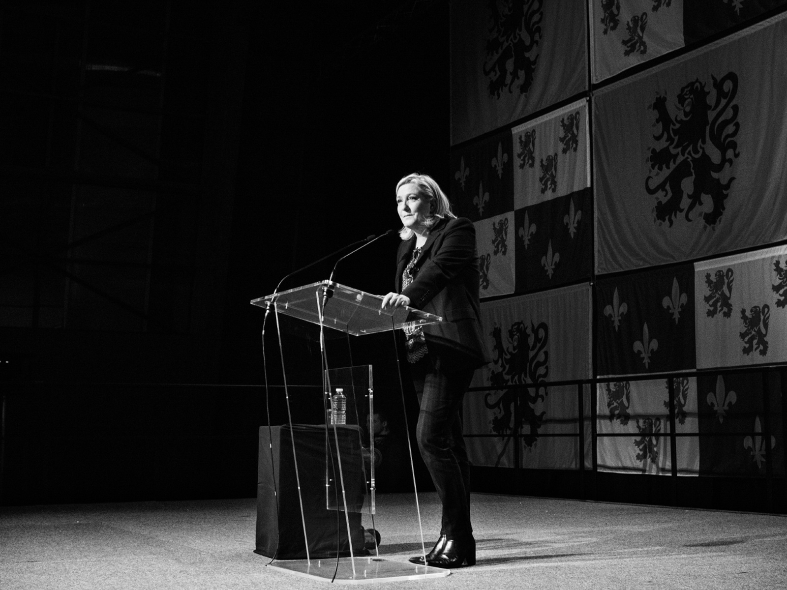 Marine Le Pen speaking to supporters at the end of the second round of regional elections, Hénin-Beaumont, France, December 2015