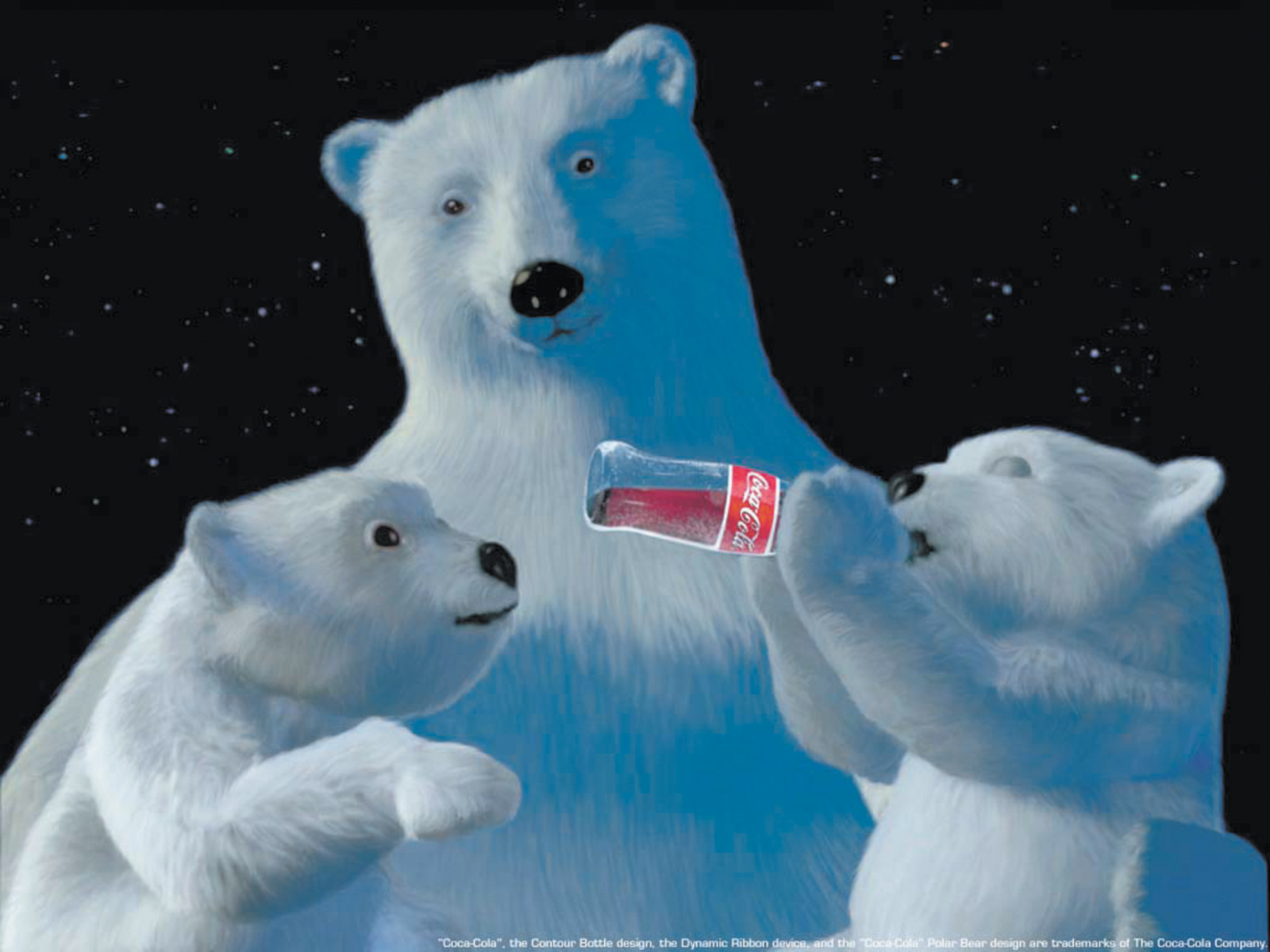One of Coke’s polar bear advertisements, the first of which appeared in 1922. ‘As the real-life animal has become associated with global warming, melting glaciers, and drowning polar bear cubs,’ Natalie Angier writes, ‘Coca-Cola has modified its message to present itself as the bear’s best friend and protector.’