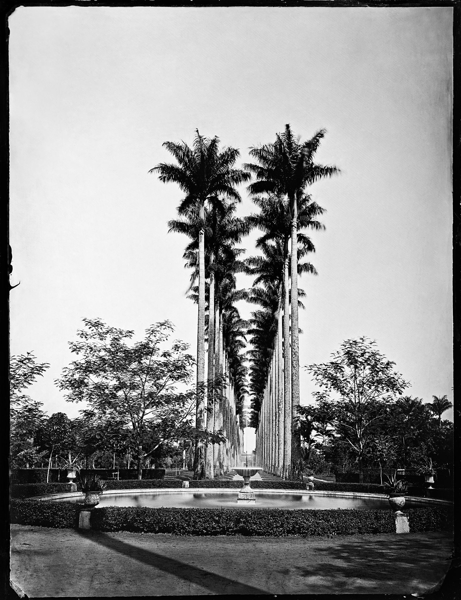 Palm tree Alley and water fountain, Jardim Botânico (Botanical Garden), circa 1890