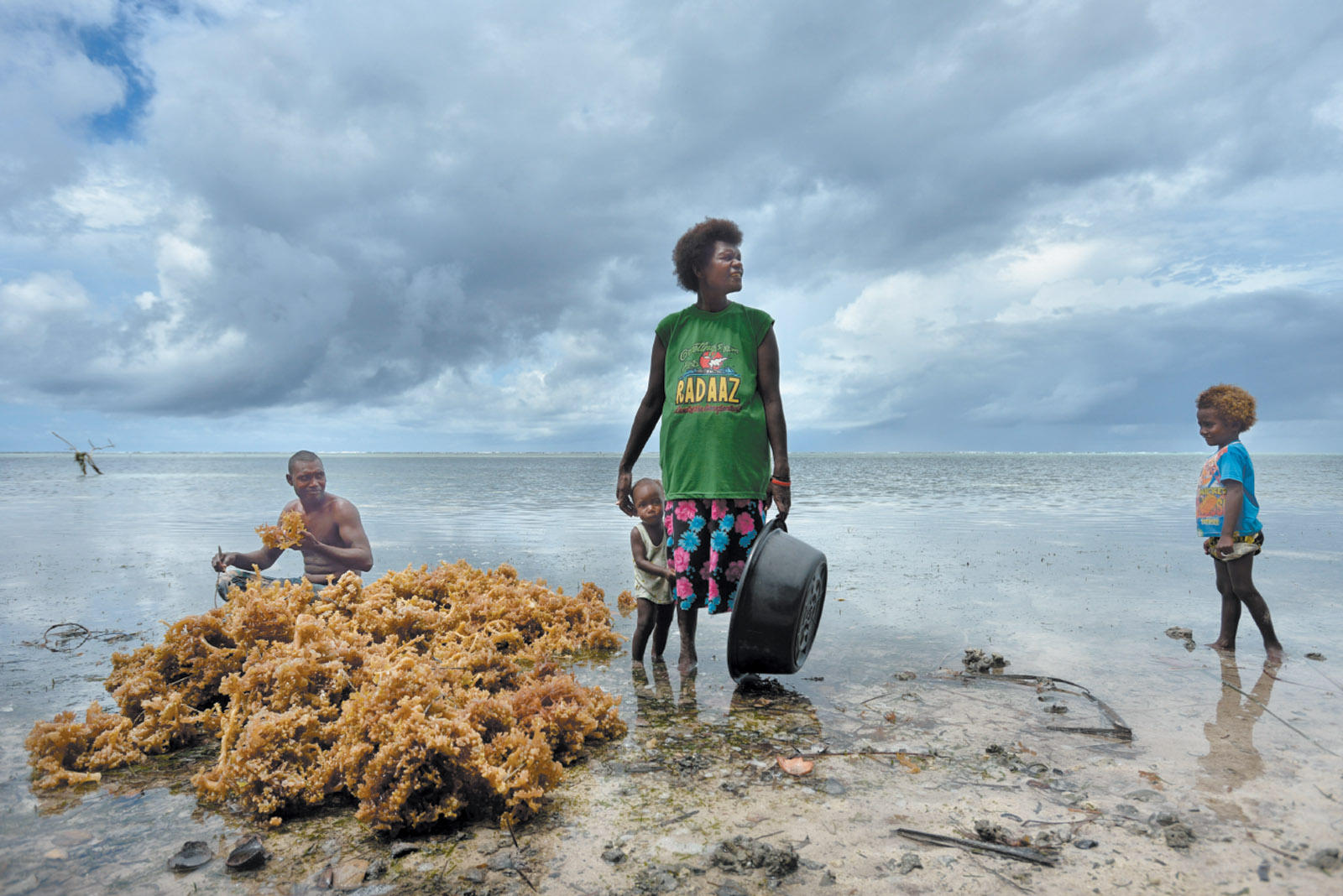 Papua New Guineans gathering seaweed for income in the Cartaret Islands, where rising sea levels are destroying their crops and drinking water, May 2013