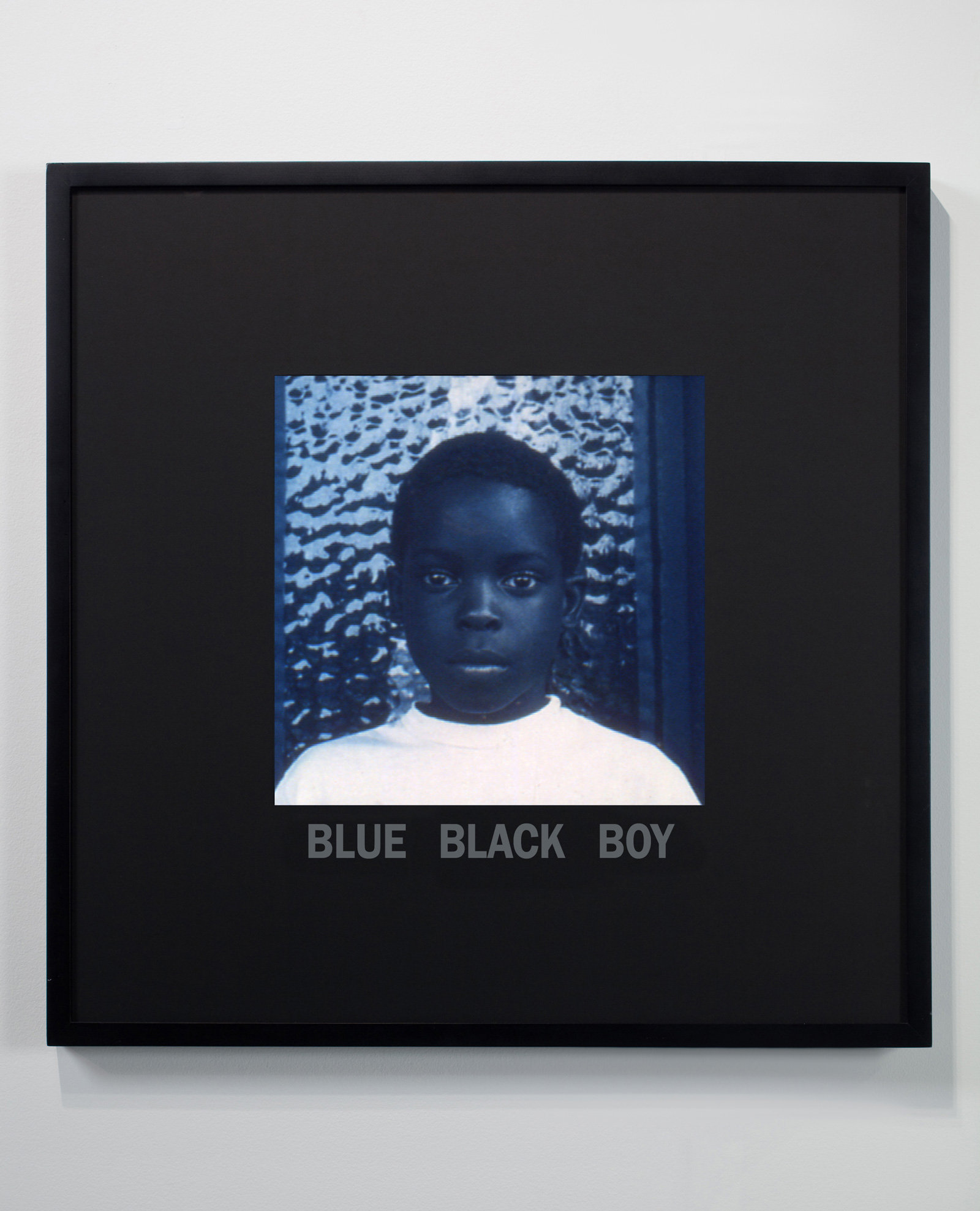 Kinds of Blue Black, Glenn Ligon