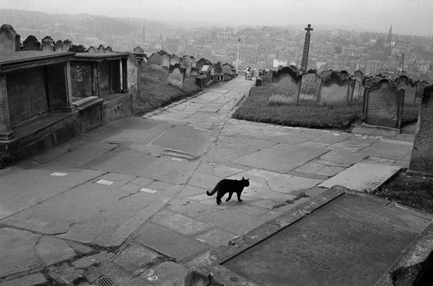 A cat in an English cemetery, 1978; photograph by Josef Koudelka
