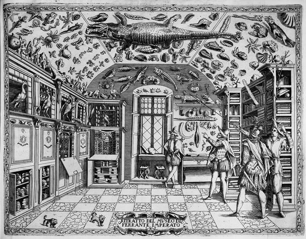 Sixteenth-century cabinet of curiosities belonging to Ferrante Imperato, an apothecary in Naples; from the frontispiece of the 1672 edition of his Historia Naturale