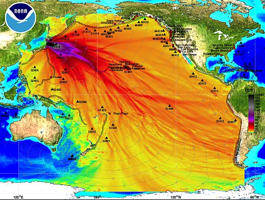 Energy propagation pattern of the March 11, 2011 tsunami