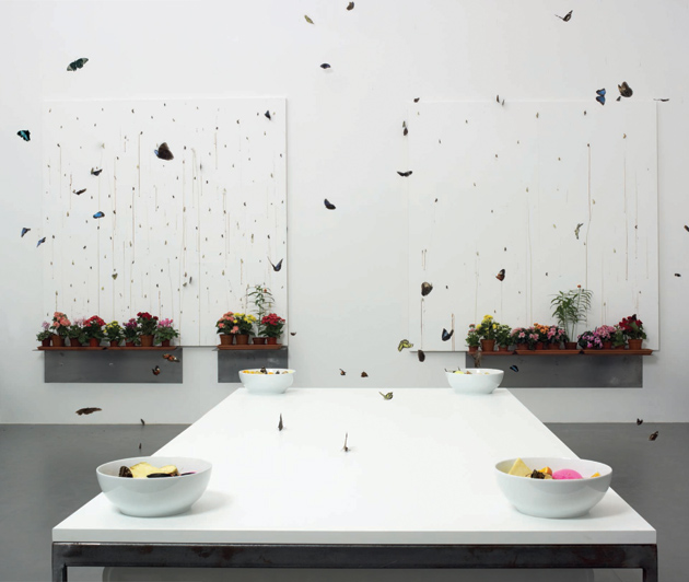 Damien Hirst: In and Out of Love (White Paintings and Live Butterflies), 1991. As Julian Bell writes, ‘On a central table, the butterflies have been supplied with bowls of orange and pineapple chunks steeped in sugar, and the mixture’s fermentation accounts for their languor.’
