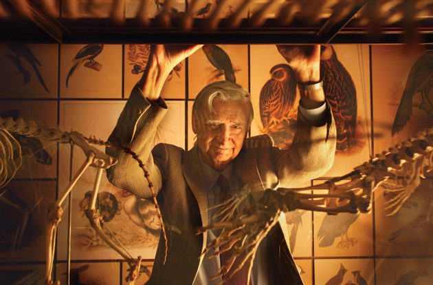 How Fit Is E.O. Wilson’s Evolution?