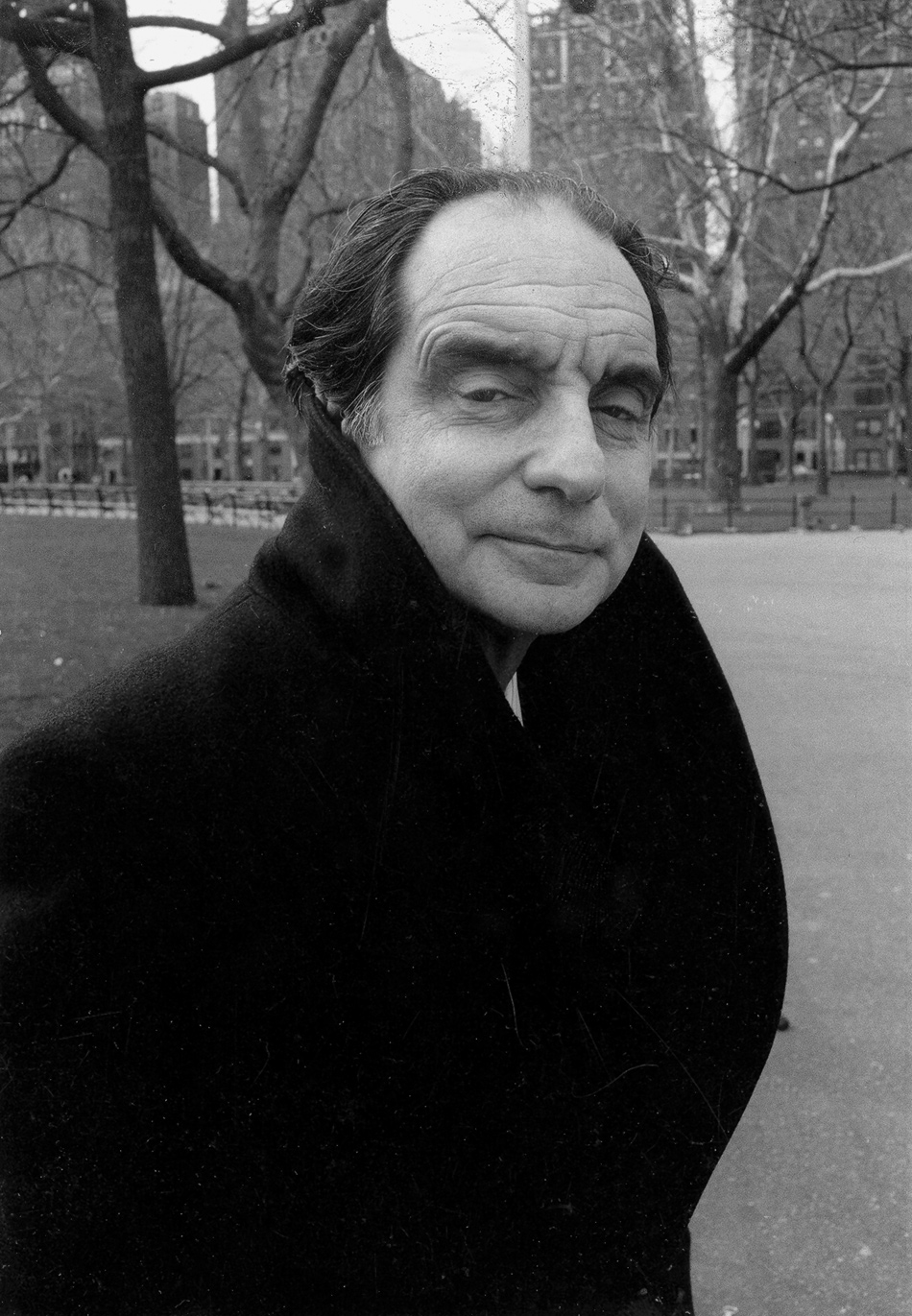 The Dreams of Italo Calvino