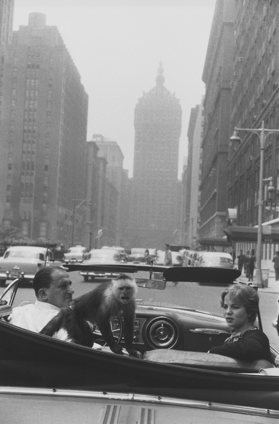Garry Winogrand: Park Avenue, New York, 1959