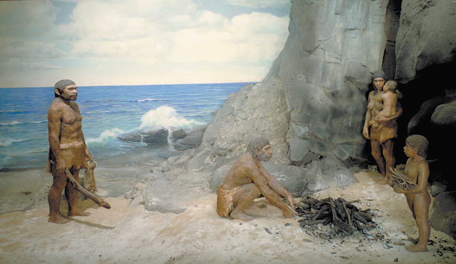 A diorama of a Neanderthal family cooking mussels near the Devil’s Tower rock shelter at Gibraltar, on the Mediterranean Sea; from the Field Museum, Chicago, early 1970s