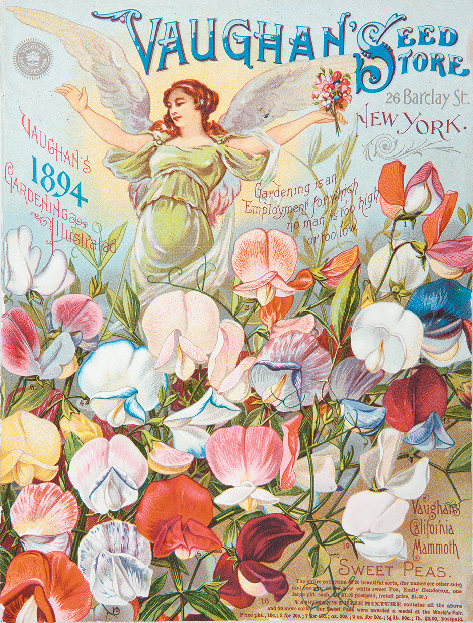 The cover of Vaughan’s 1894 seed catalog, an example of what Elizabeth S. Eustis in Flora Illustrata calls the ‘height of dazzling chromolithography’ of late-nineteenth-century seed catalogs. ‘The appropriation of chromolithography for commercial purposes repelled art critics, but delighted consumers,’ Eustis writes. ‘It remained the preferred embellishment of seed catalogs until color photography began to displace it around 1896.’