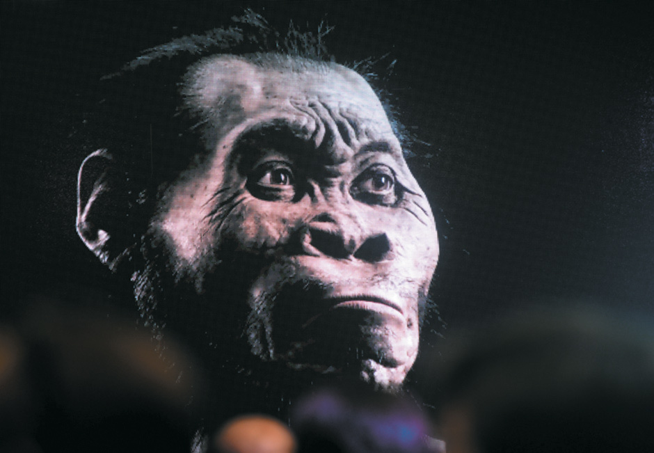 A model of Homo naledi, a newly discovered species of ape, at the Cradle of Humankind World Heritage Site, Maropeng, South Africa, September 2015