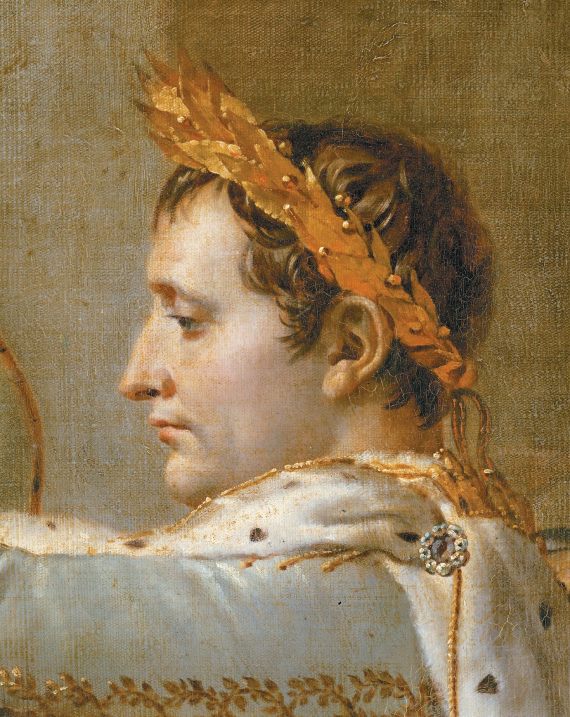 Napoleon: The Unsolved Enigma