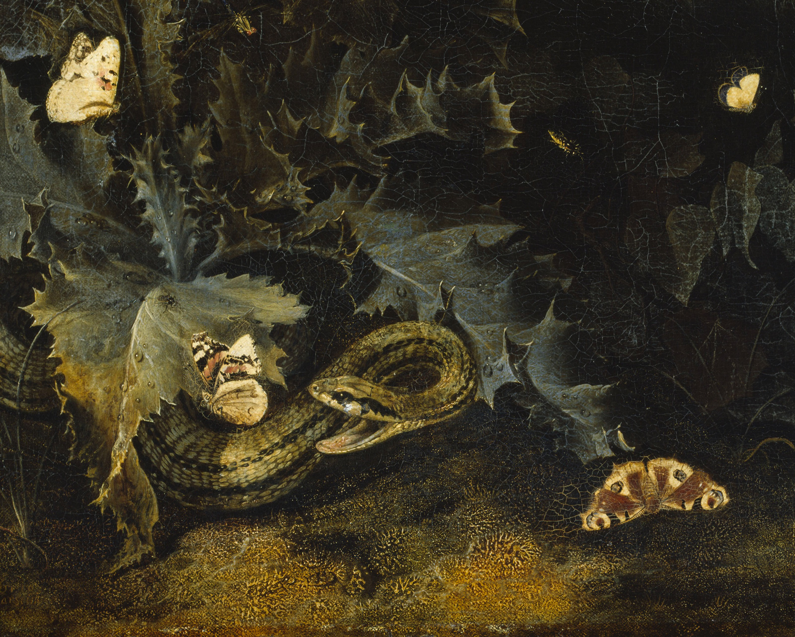 Otto Marseus van Schrieck: Forest Floor with Thistle and Snake (detail), circa 1665