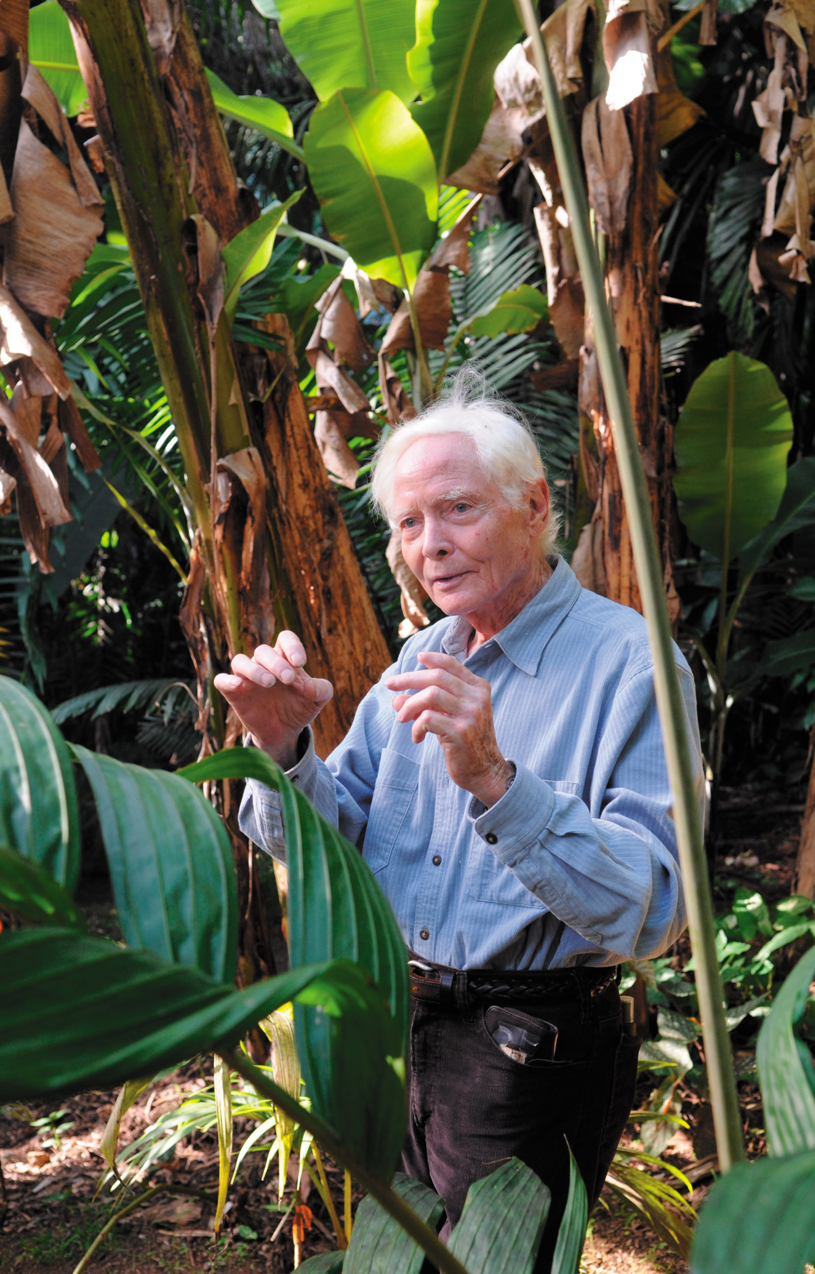 W.S. Merwin in the palm forest at the Merwin Conservancy, Haiku, Hawaii, 2011