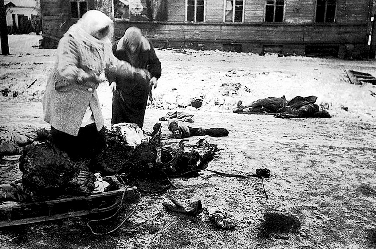 Two women collecting the remains of a dead horse for food, Leningrad, 1941