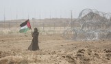 What the Gaza Protests Portend