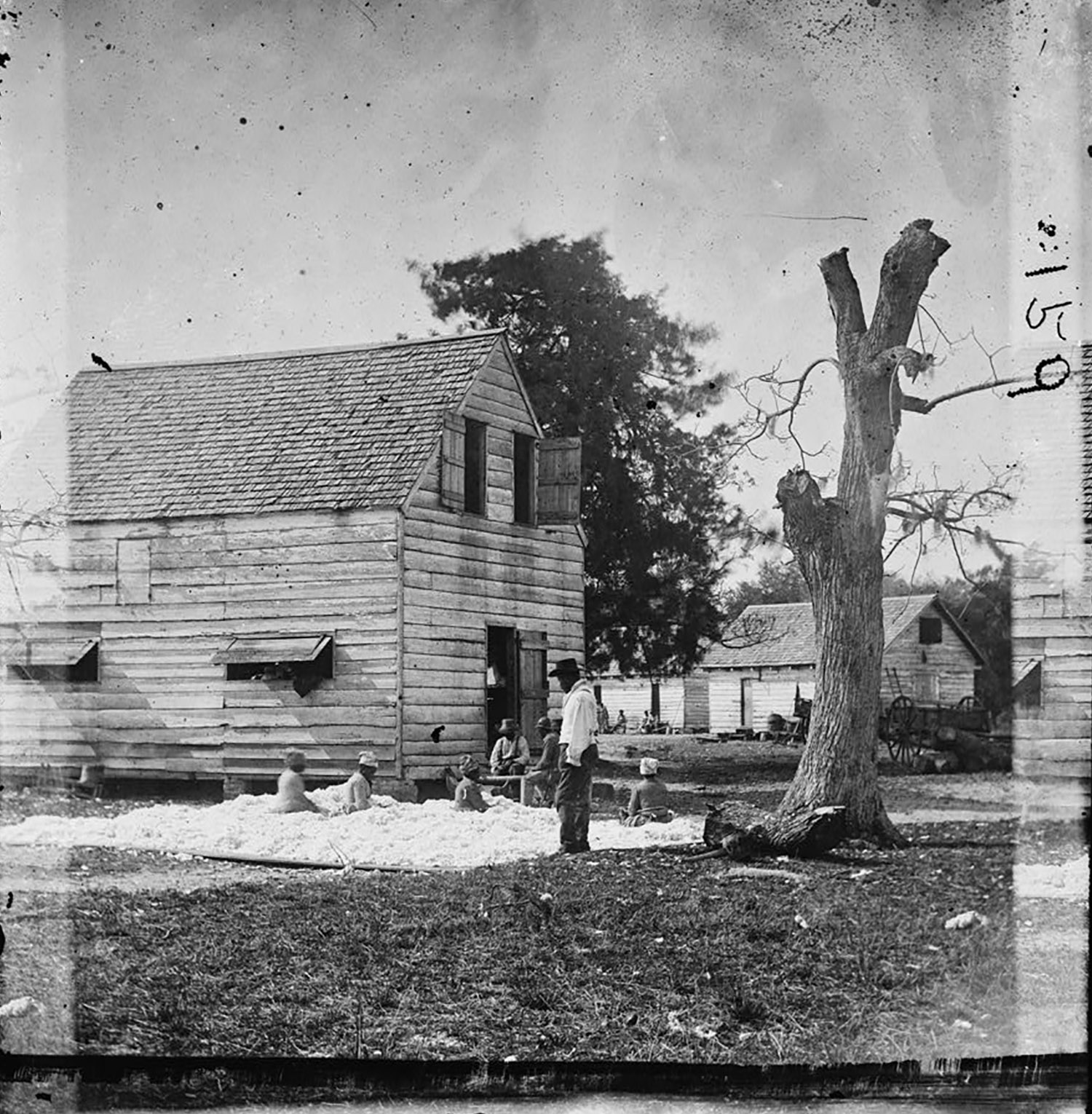 African Americans preparing cotton for the gin on Smith’s plantation, Port Royal Island, South Carolina, 1861–1862
