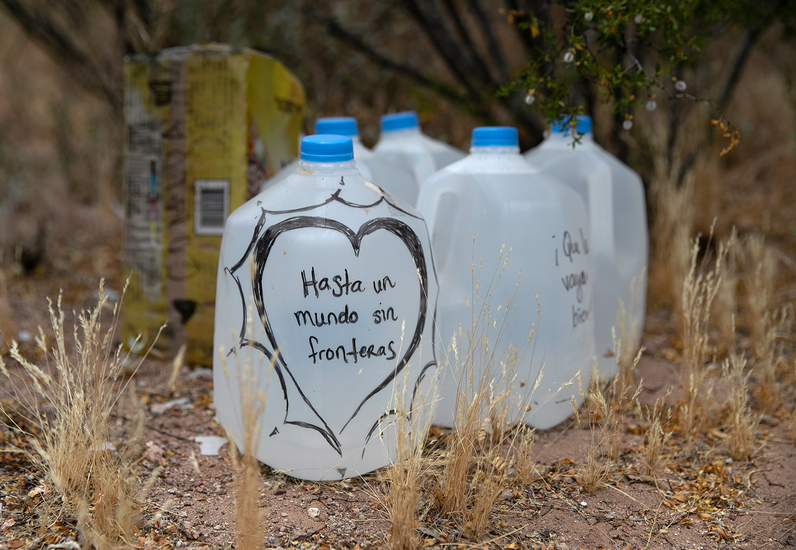 Jugs of water left along migrant trails by the humanitarian aid group No More Deaths, for which Scott Warren volunteers, near Ajo, Arizona, May 10, 2019