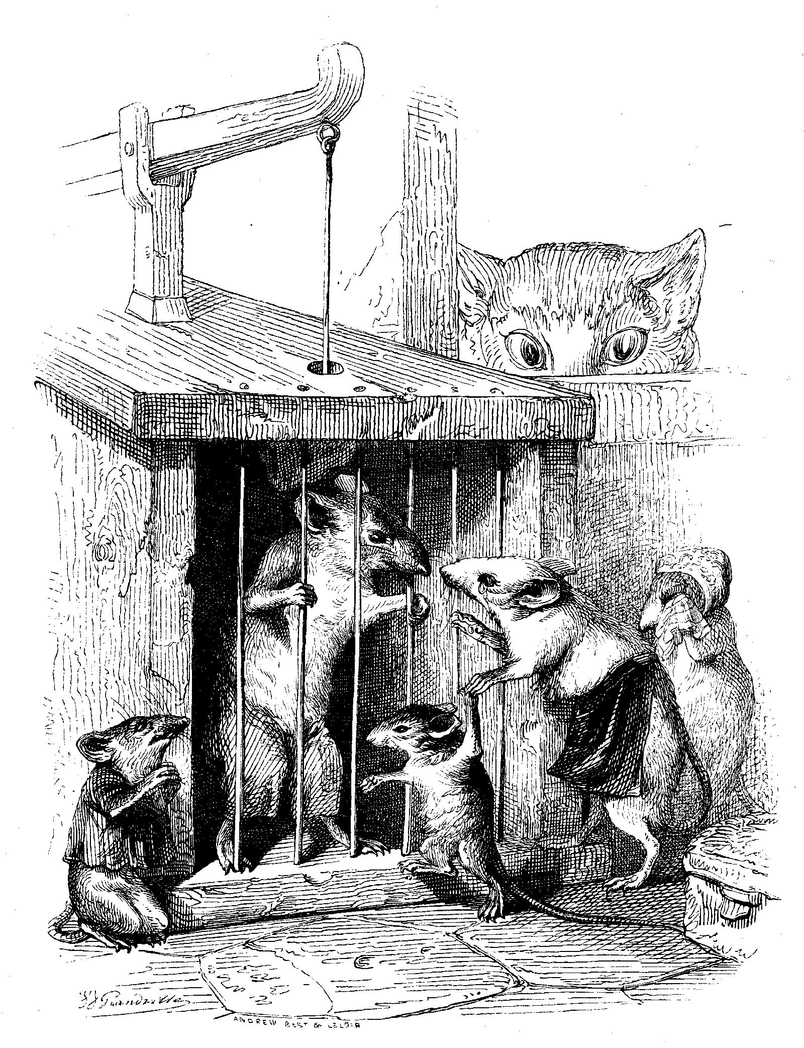 Drawing of a mouse in a cage