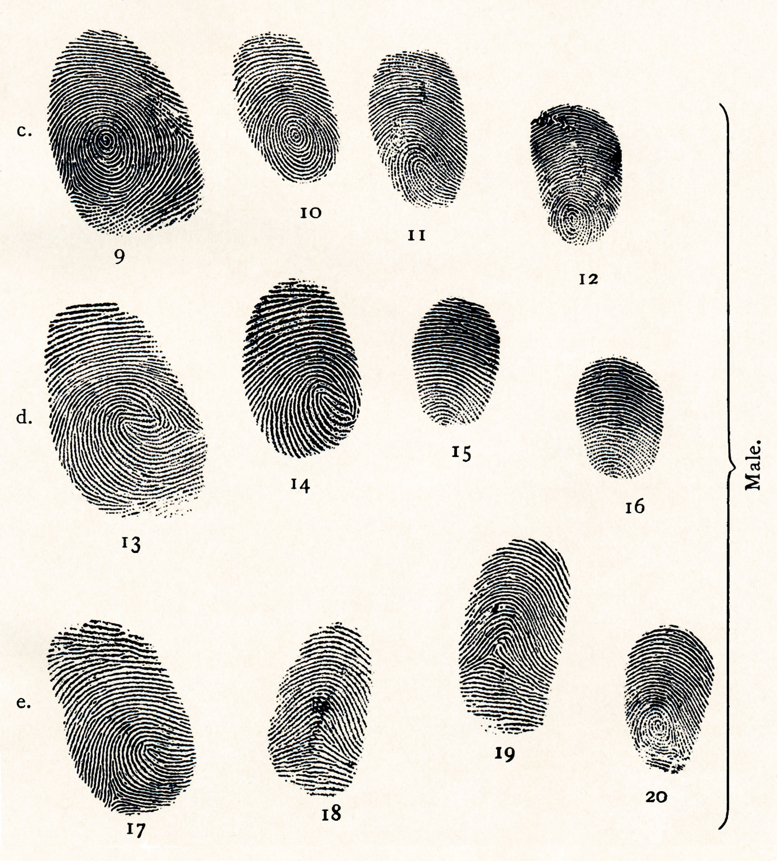 Ilustración de la Guía de Henry Faulds para la Identificación de huellas dactilares, 1905