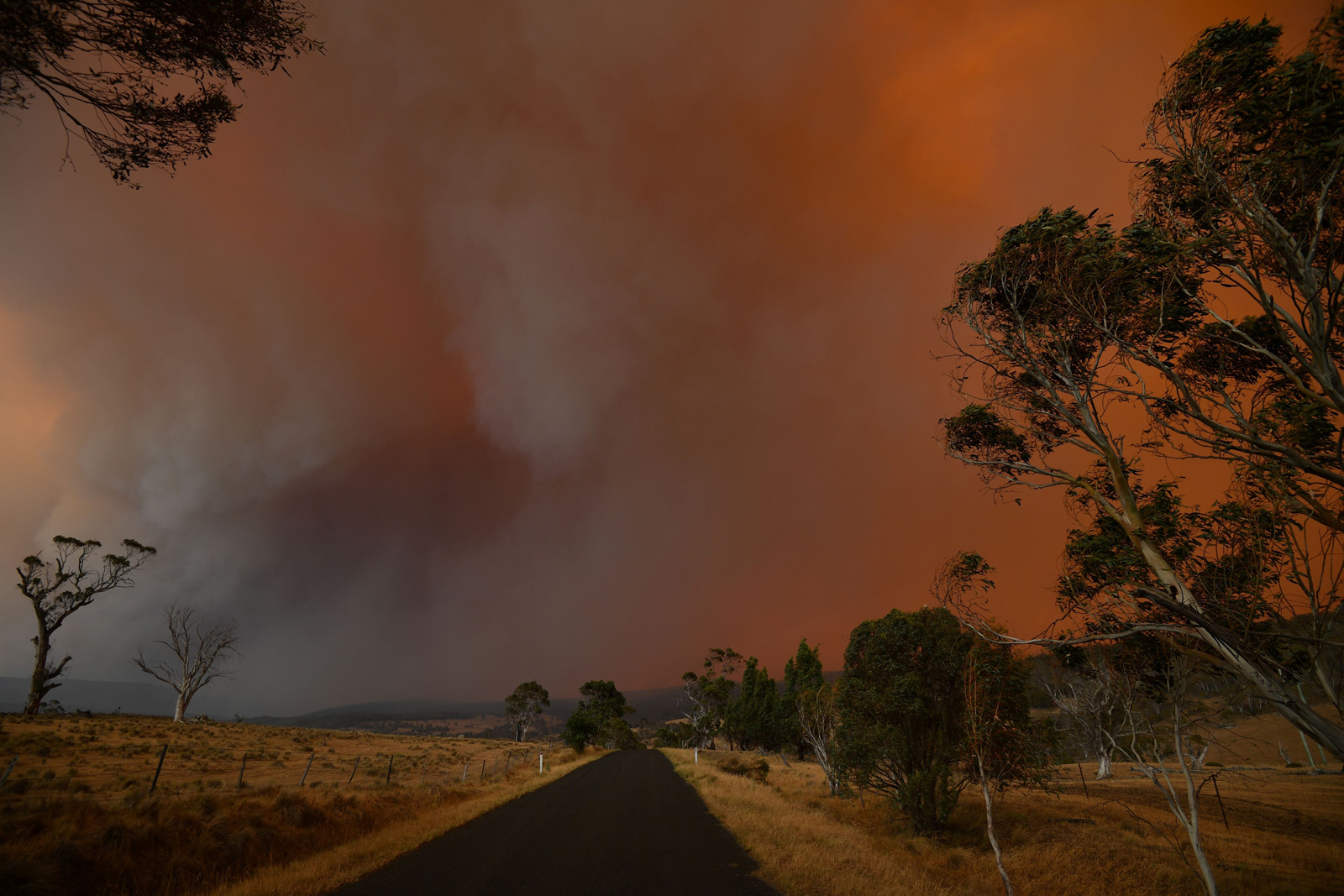 Ember and thick smoke from bushfires, Braemar Bay, New South Wales, Australia, January 4, 2020