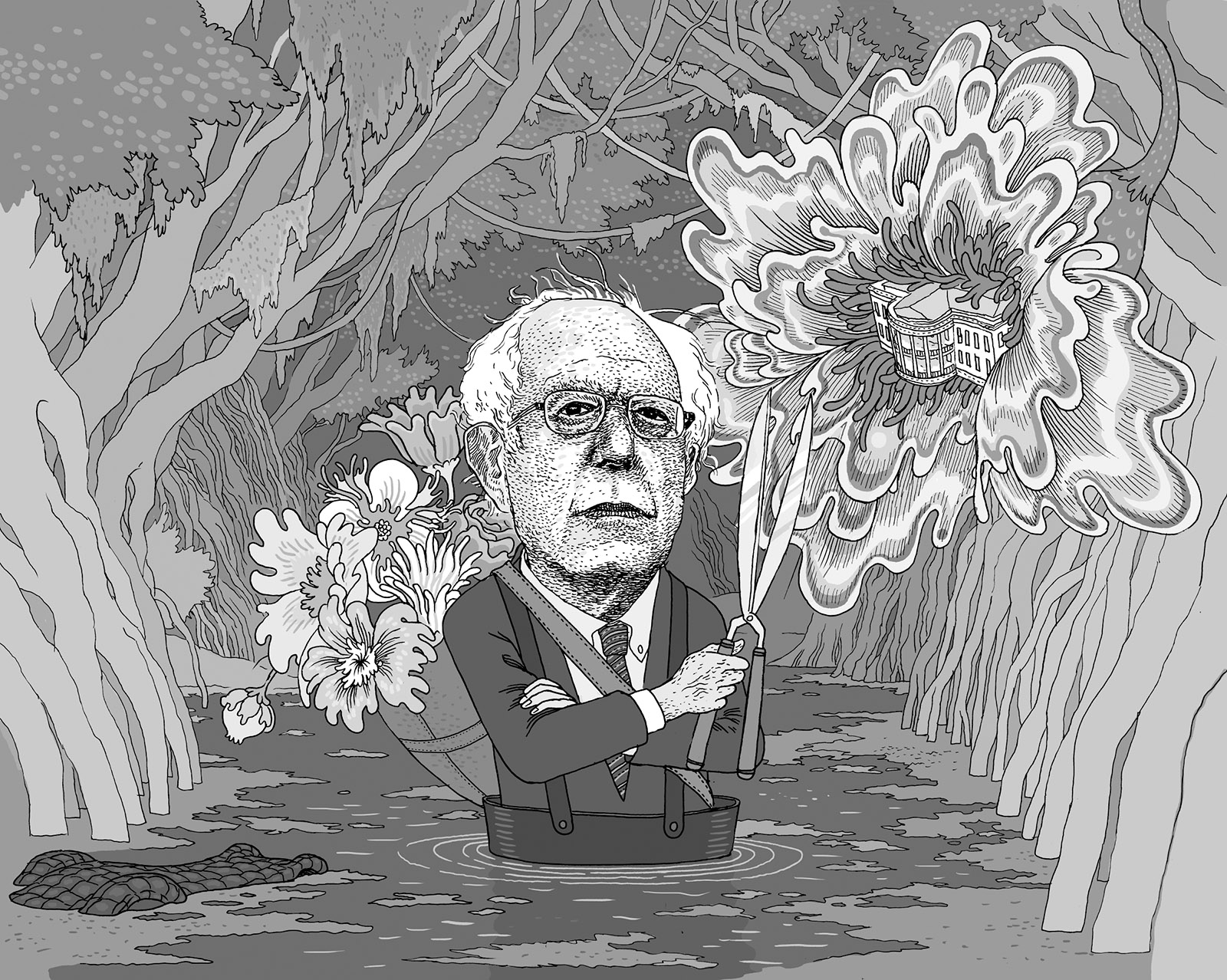 Bernie Sanders; drawing by Anders Nilsen
