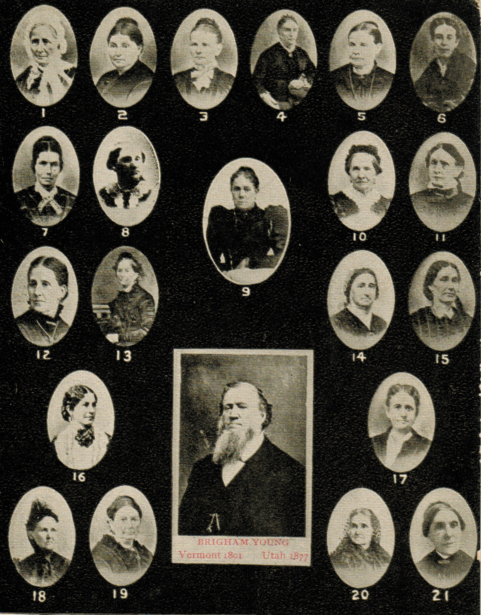 A postcard of Brigham Young and twenty-one of his wives, 1903