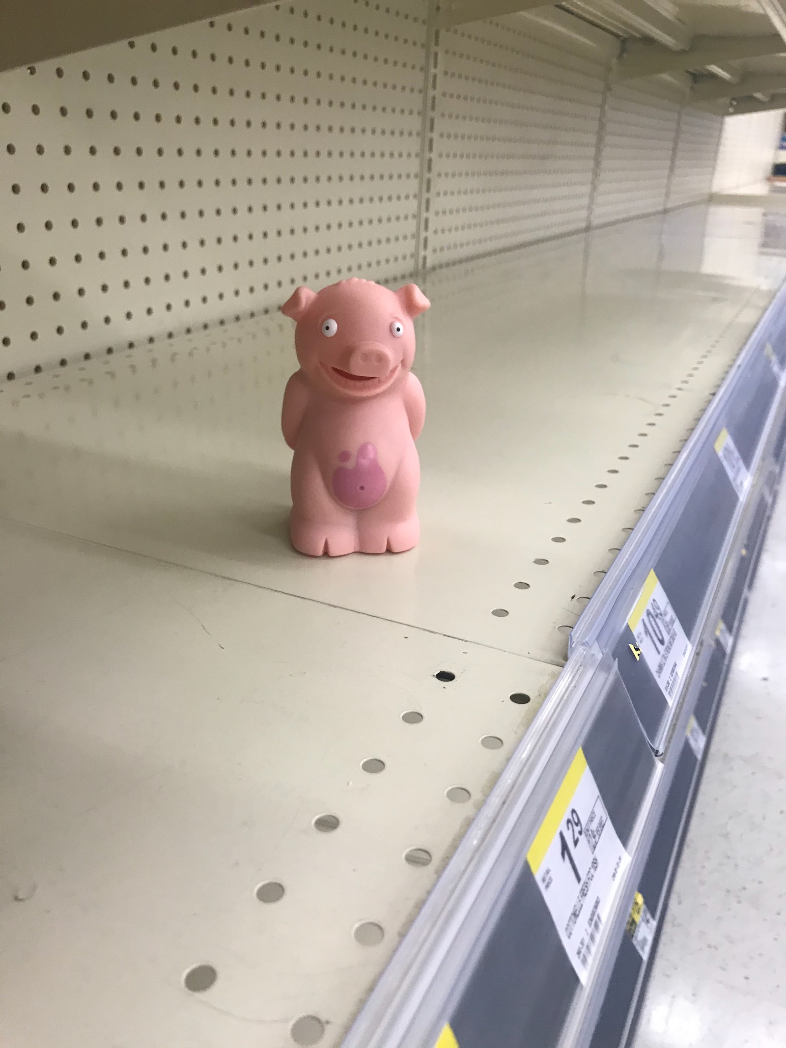 A pink piggy on an empty Walgreens shelf