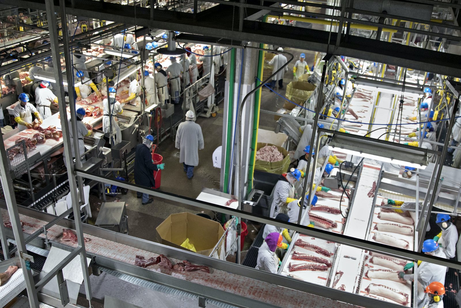 Workers processing pork