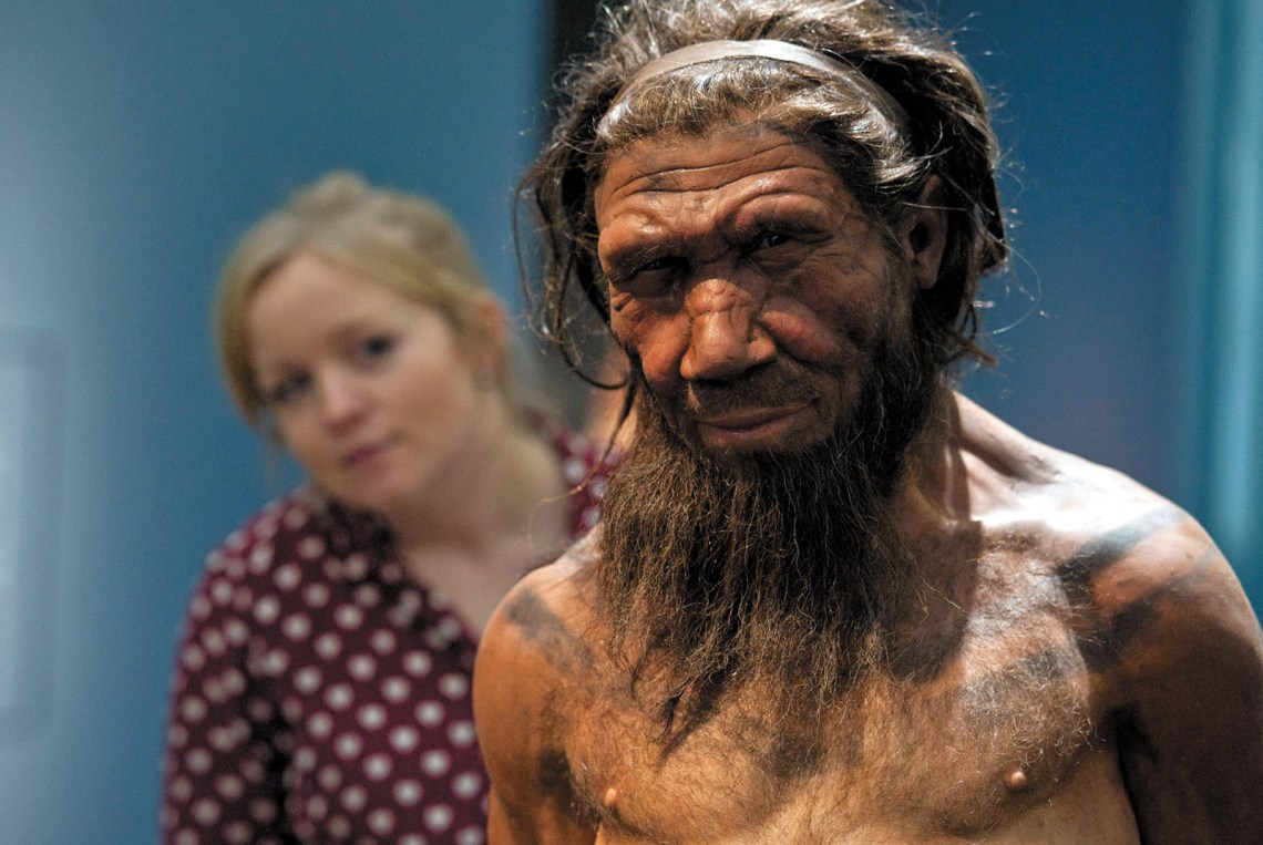 A model of a Neanderthal male in his twenties, Natural History Museum, London