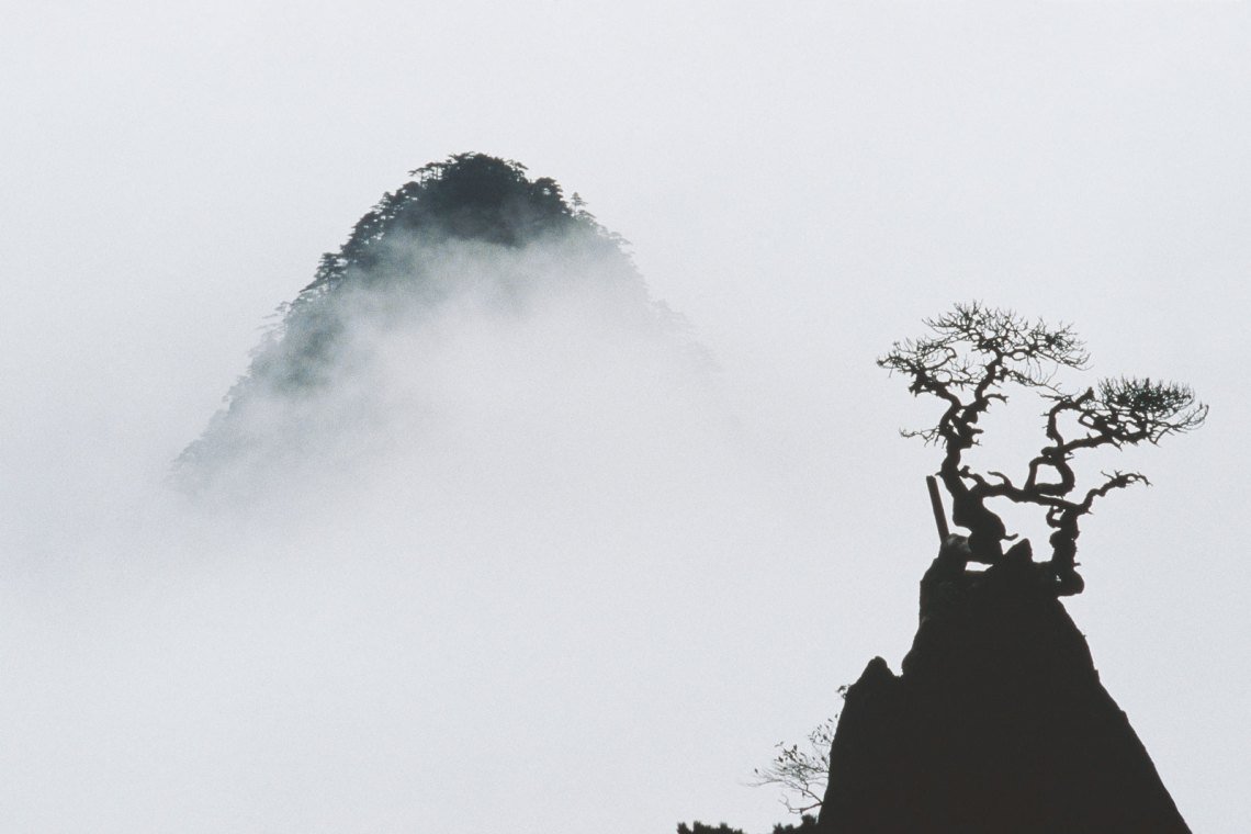 stark black and white image of a tree and mountain almost fully obscured by fog