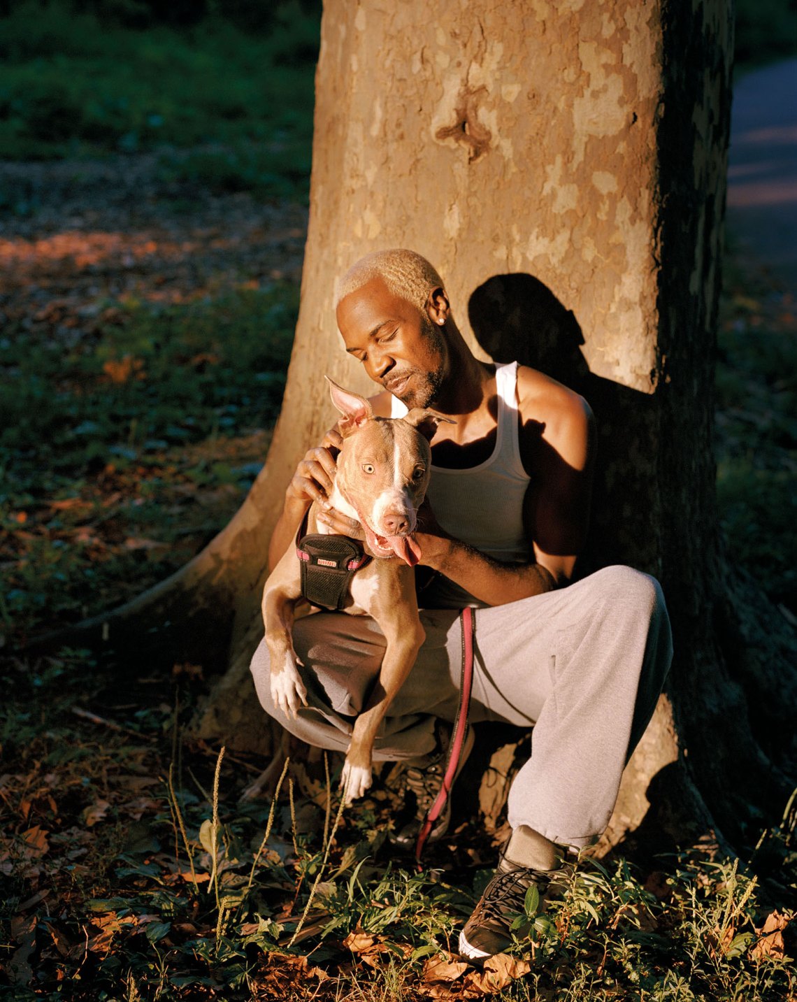 African American man with bleached hair holds a pit bull leaning against a tree, in direct sunlight