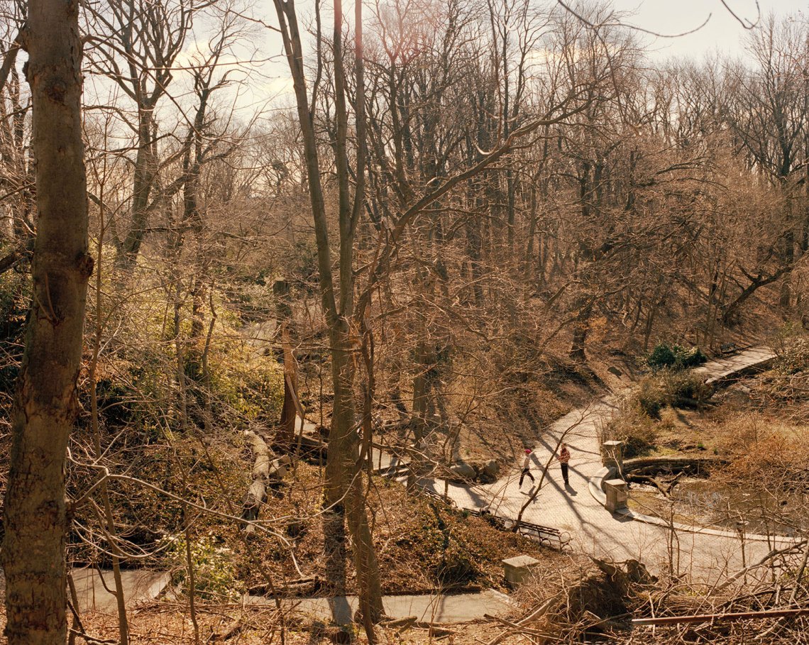 brown wooded winter landscape showing a path in the park with two faraway figures
