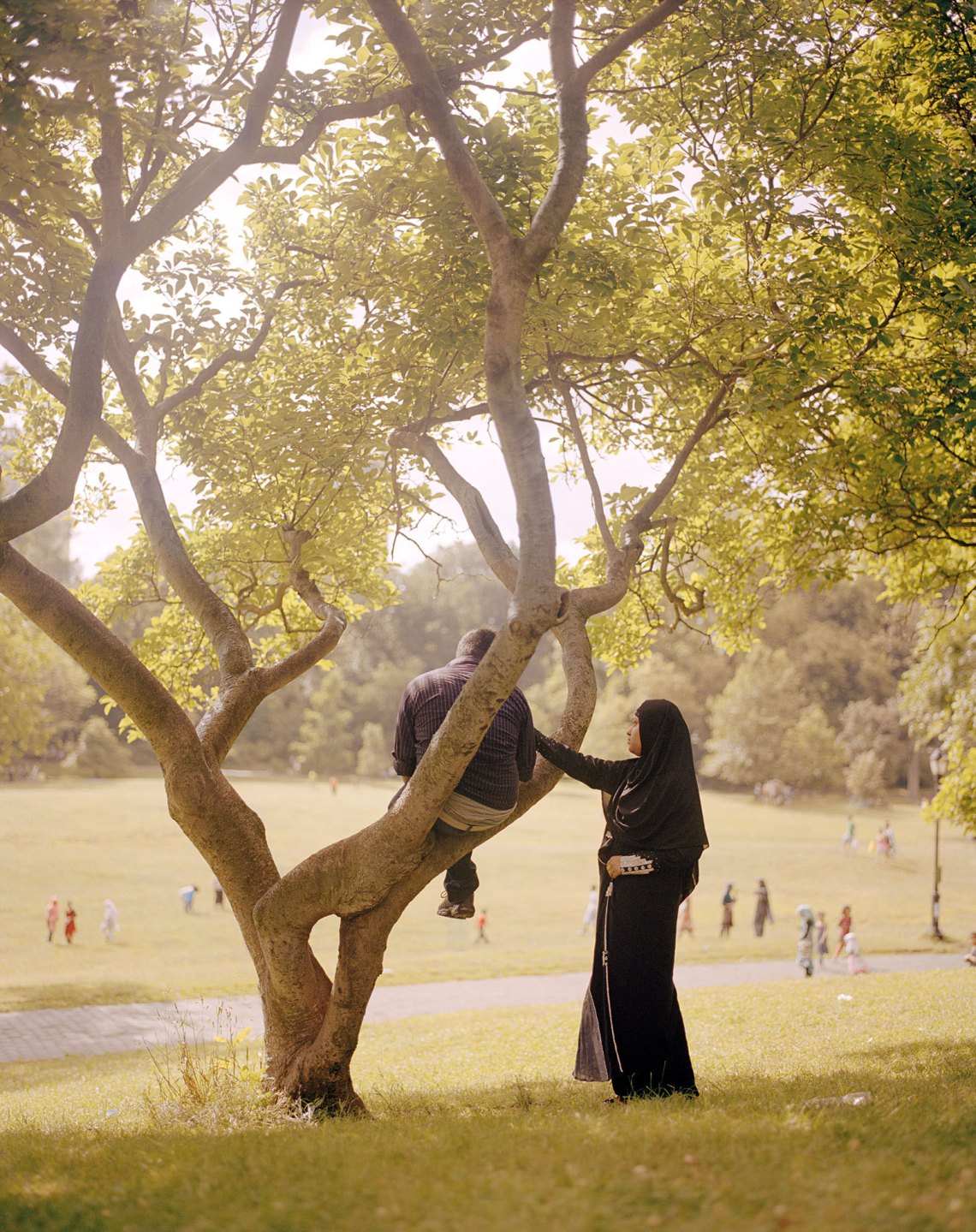 man sitting low in a tree while a woman in a burqa extends her hand to him