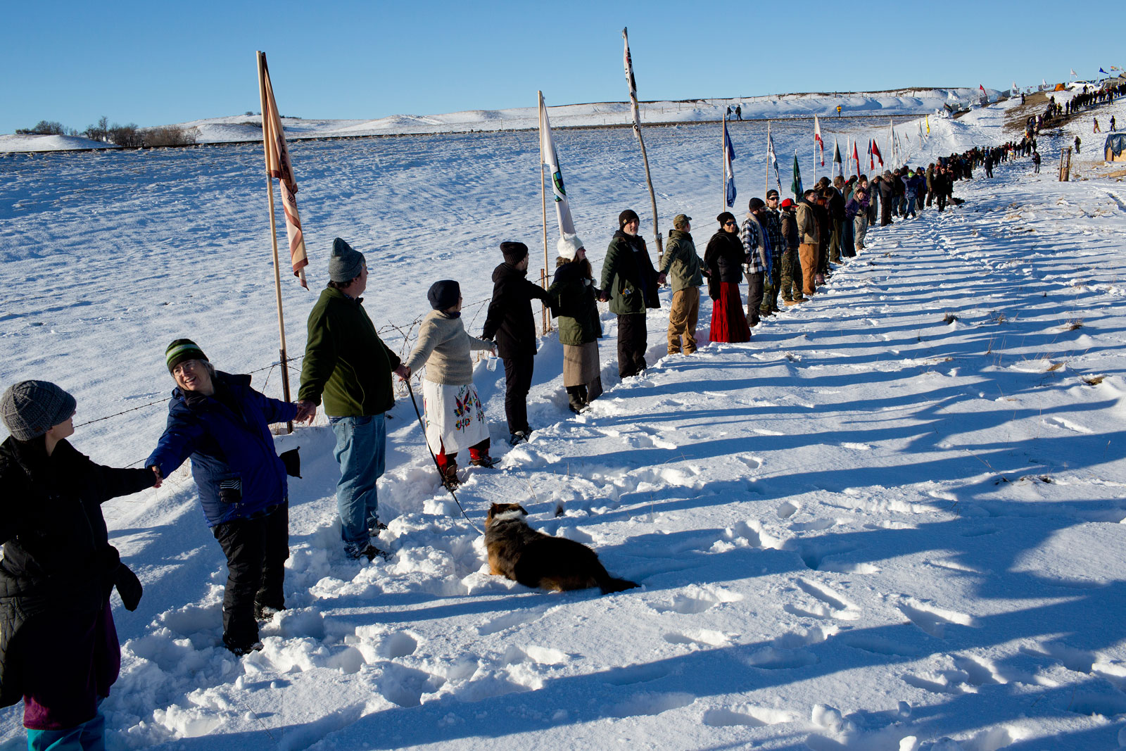 A line of people holding hands in the snow, with flags