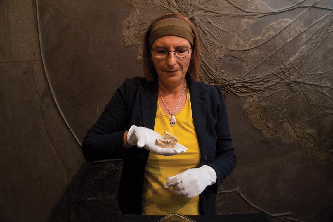 Madelaine Böhme holding a lower jawbone from Graecopithecus freybergi