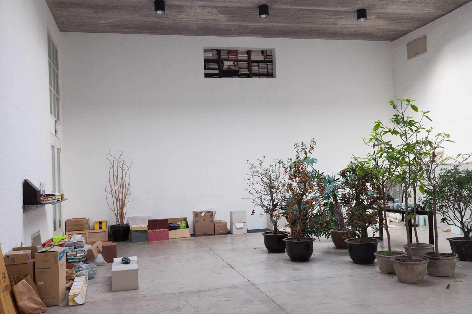 Art studio space with artworks, plants and books