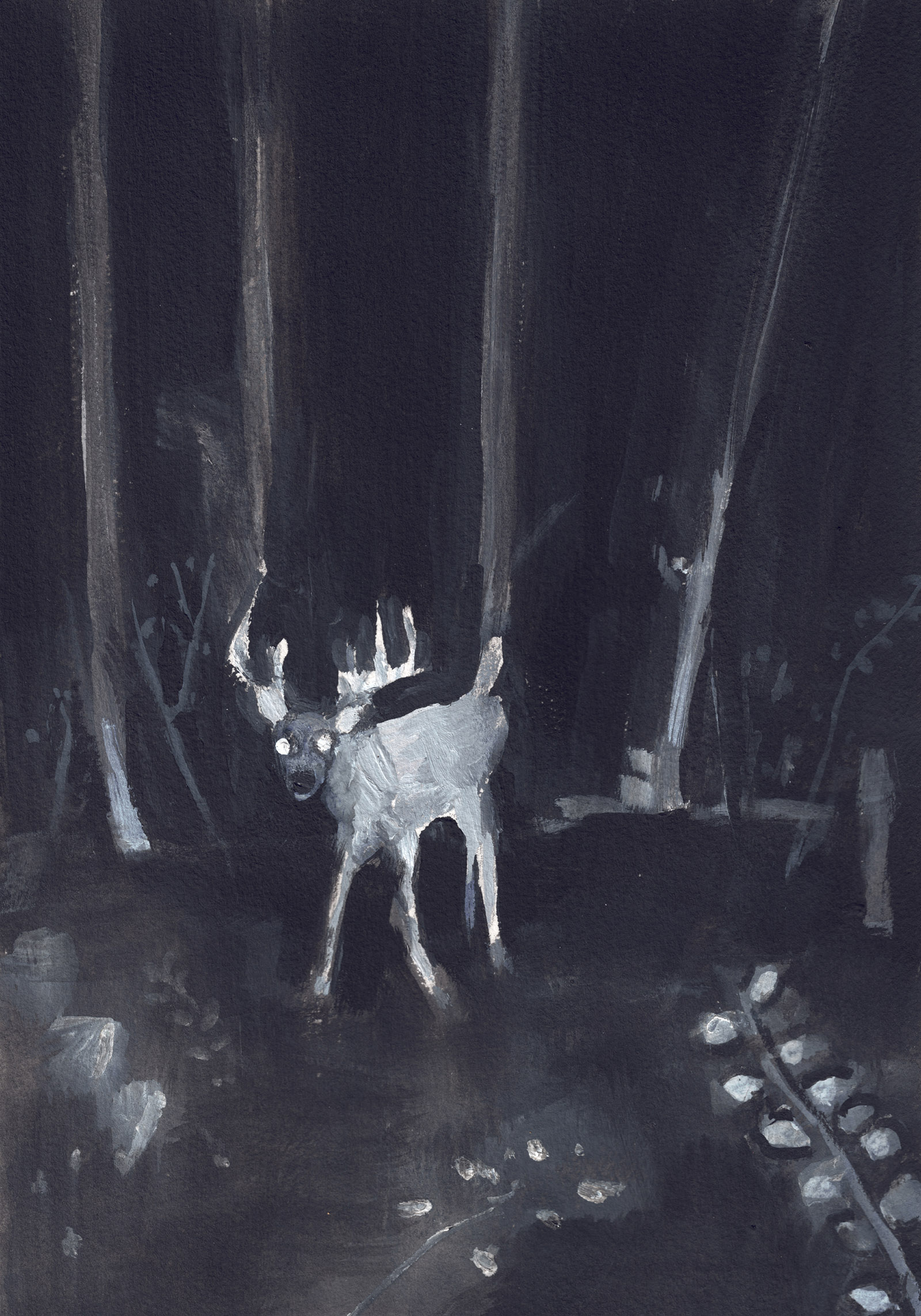 Illustration of a deer at night