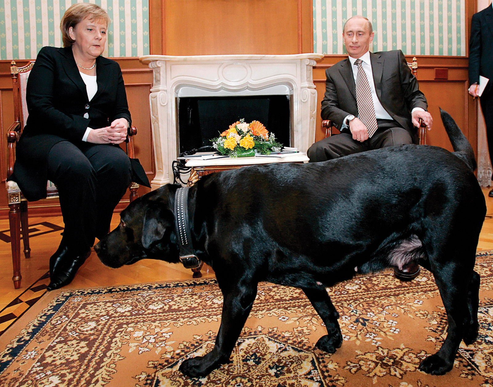 Angela Merkel and Vladimir Putin with his dog Konni at Putin’s house in Sochi, Russia