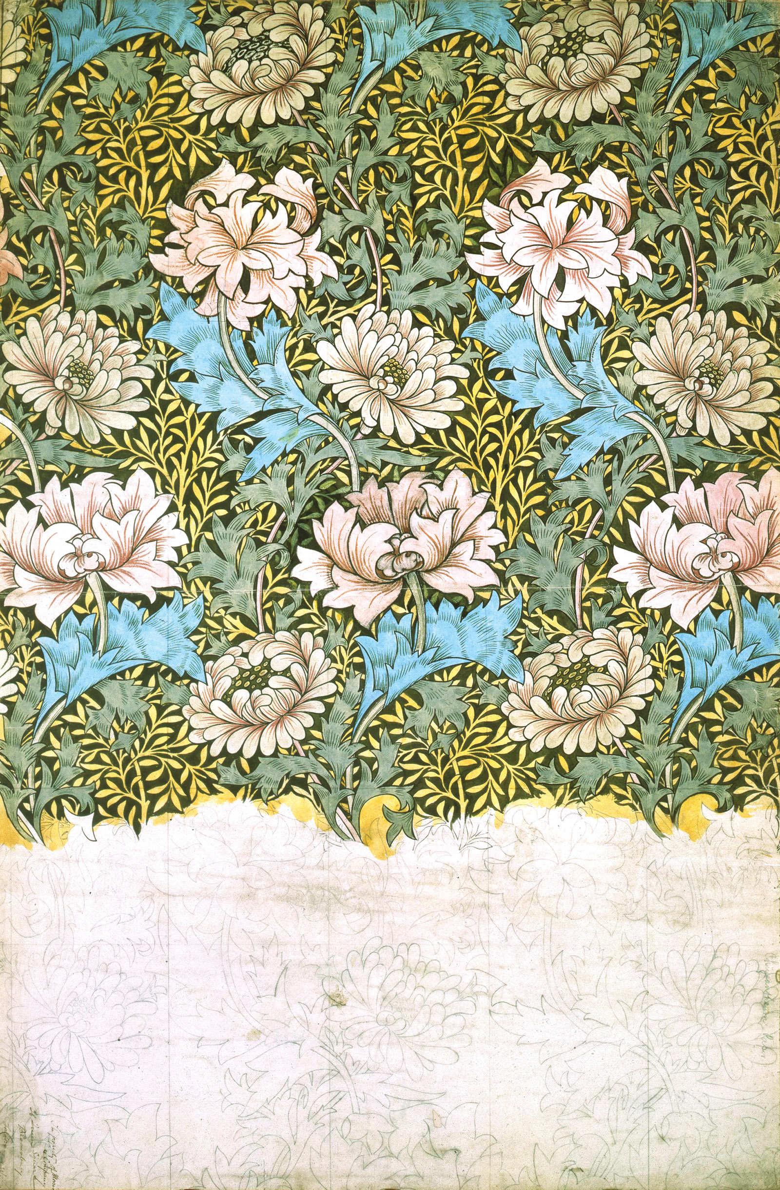 Design for Chrysanthemum Wallpaper; illustration by William Morris
