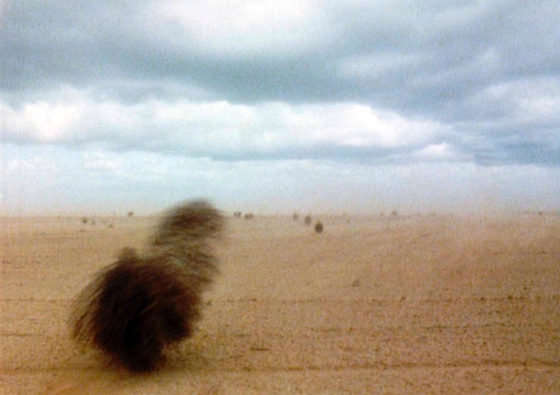 A color image of a wide desert with two tumbleweeds