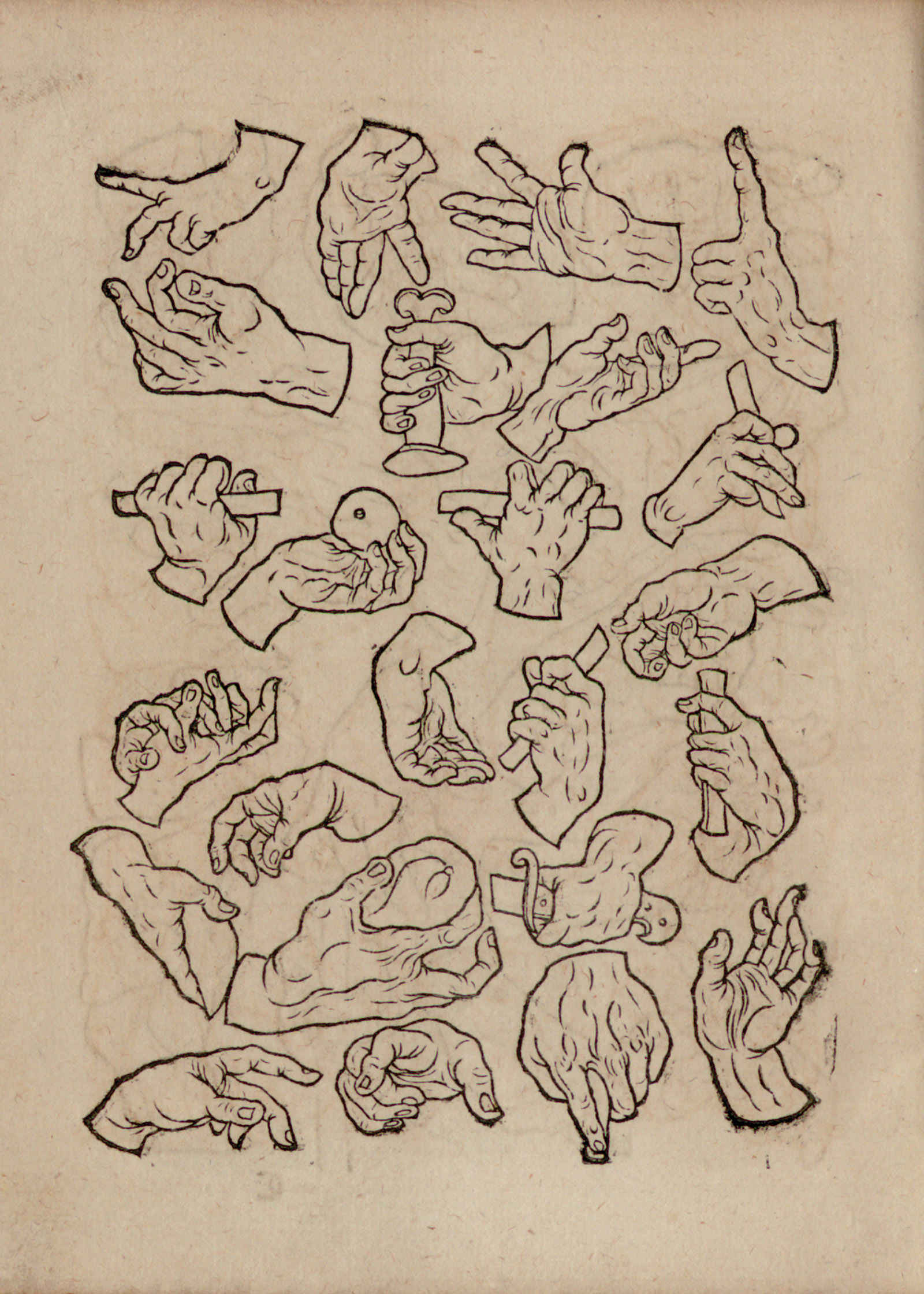 illustration of hands in various actions of holding, grasping, pointing, gesturing