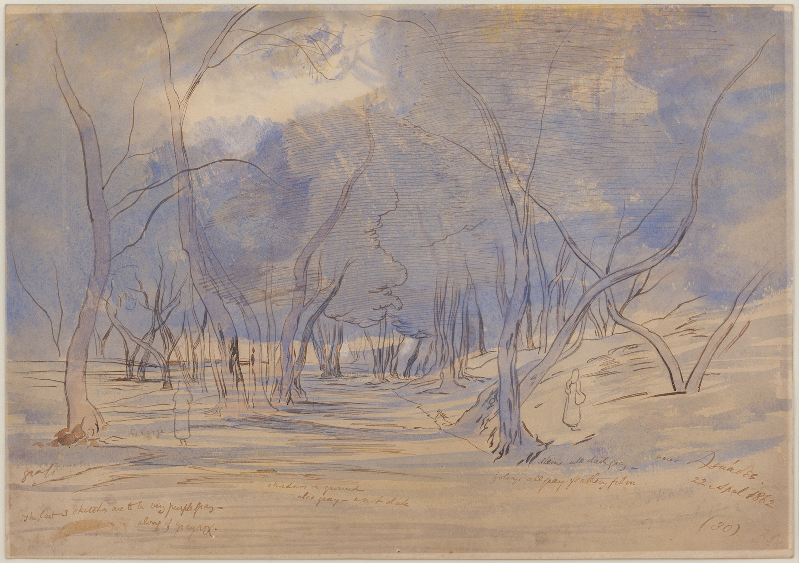 A grove of trees with a violet watercolor wash